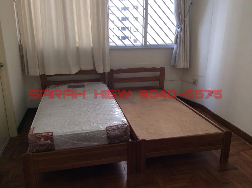 Mount Elizabeth (D9), Condominium #85279182
